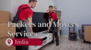 Read more about the article Top 3 Packers and Movers Services in India